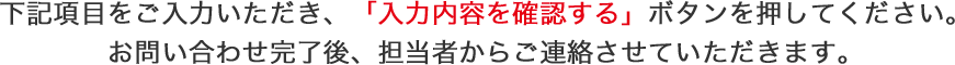 入力内容を確認するボタンを押してください